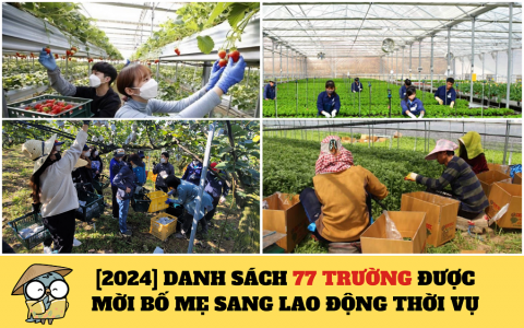 DANH SÁCH 77 TRƯỜNG ĐƯỢC MỜI BỐ MẸ SANG LAO ĐỘNG THỜI VỤ – MỚI NHẤT 2024
